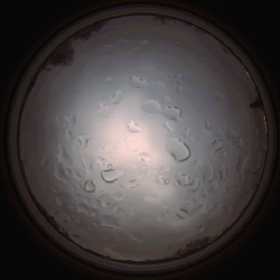 capture_202112061447_1850.Png