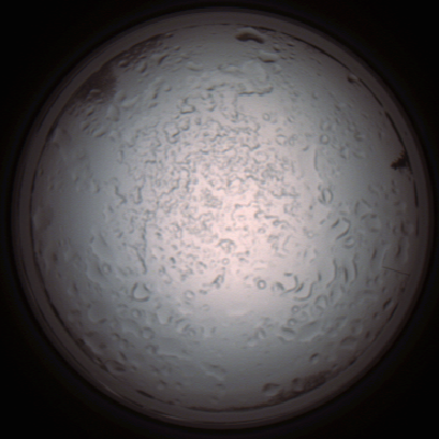capture_202112060912_1515.Png