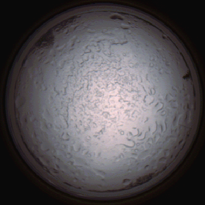 capture_202112060812_1455.Png