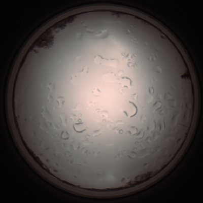 capture_202112061245_1728.Png