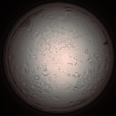 capture_202112061011_1574.Png