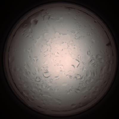 capture_202112061025_1588.Png