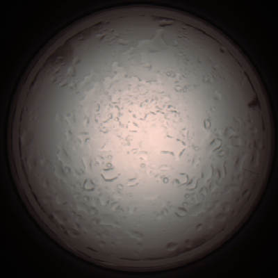 capture_202112061010_1573.Png