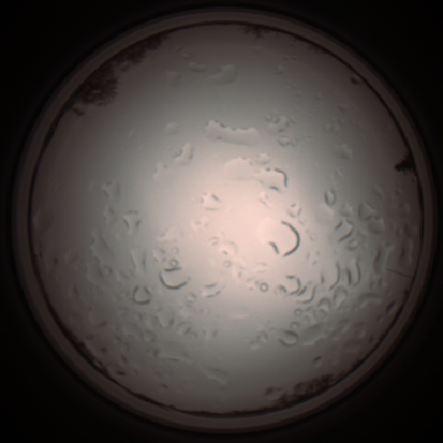 capture_202112061216_1699.Png