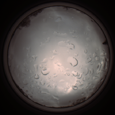 capture_202112061331_1774.Png