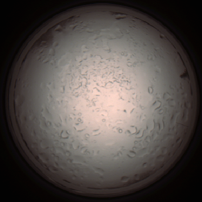 capture_202112061001_1564.Png