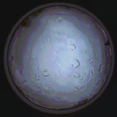 capture_202112061521_1884.Png