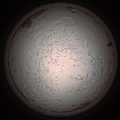 capture_202112060945_1548.Png
