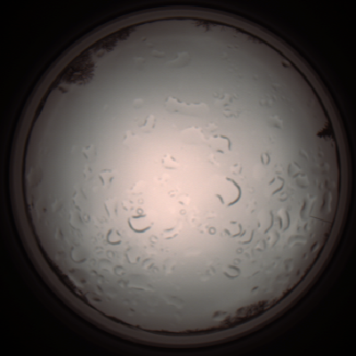 capture_202112061227_1710.Png
