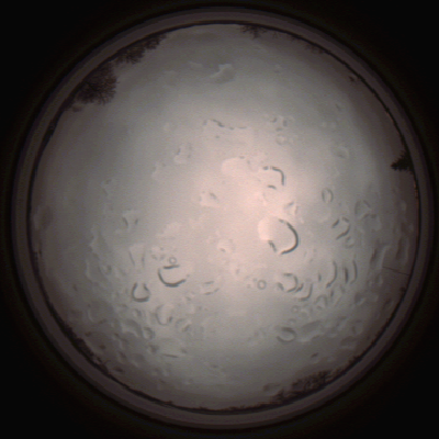 capture_202112061435_1838.Png