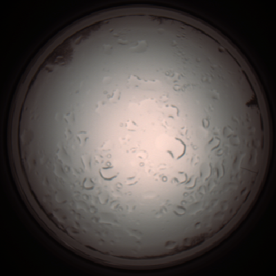 capture_202112061054_1617.Png