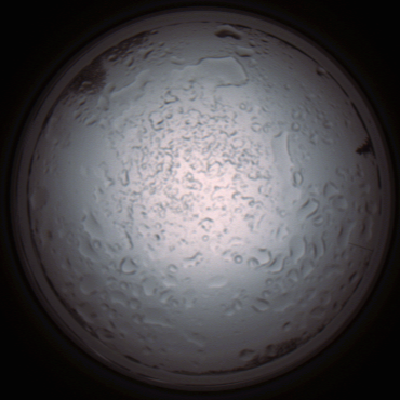 capture_202112060931_1534.Png