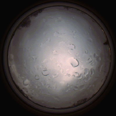 capture_202112061445_1848.Png