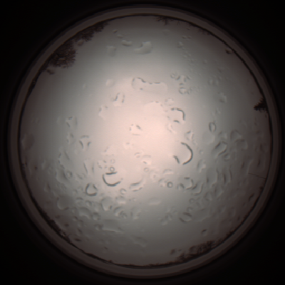 capture_202112061228_1711.Png