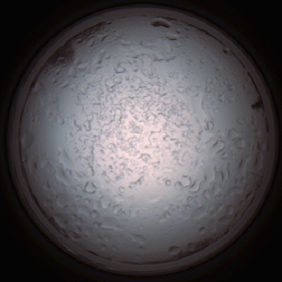 capture_202112060859_1502.Png