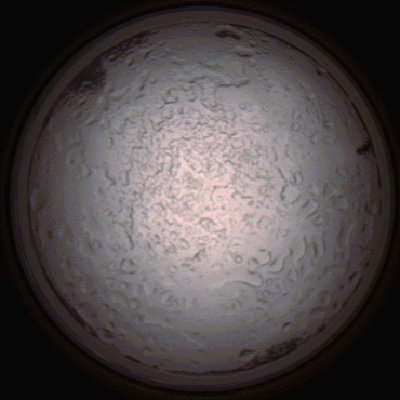 capture_202112060758_1441.Png