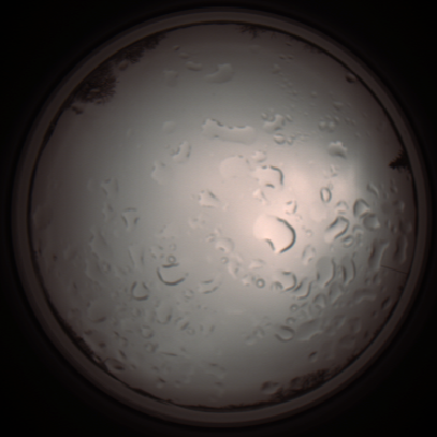 capture_202112061209_1692.Png