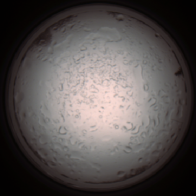 capture_202112060942_1545.Png