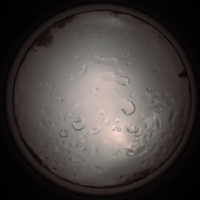 capture_202112061307_1750.Png