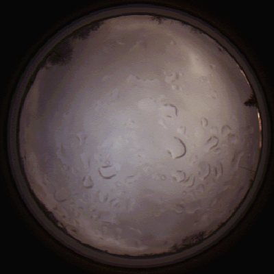 capture_202112061501_1864.Png