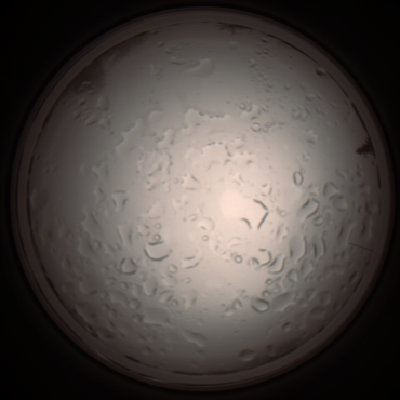 capture_202112061027_1590.Png
