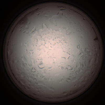 capture_202112061015_1578.Png