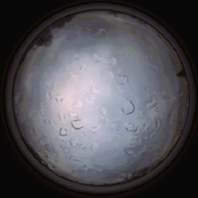capture_202112061512_1875.Png