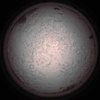 capture_202112060842_1485.Png