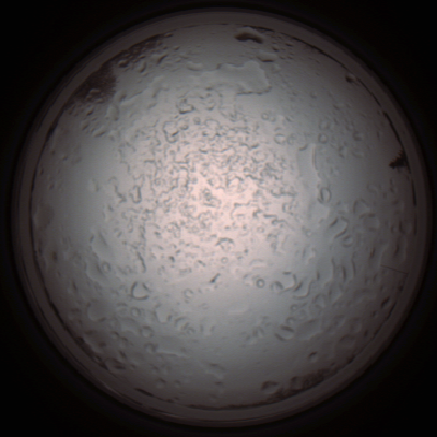 capture_202112060923_1526.Png