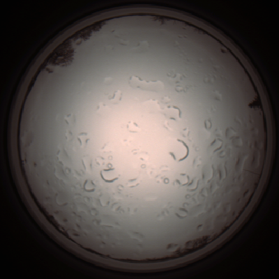 capture_202112061158_1681.Png