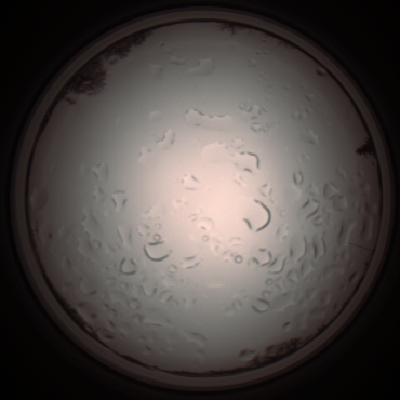 capture_202112061214_1697.Png