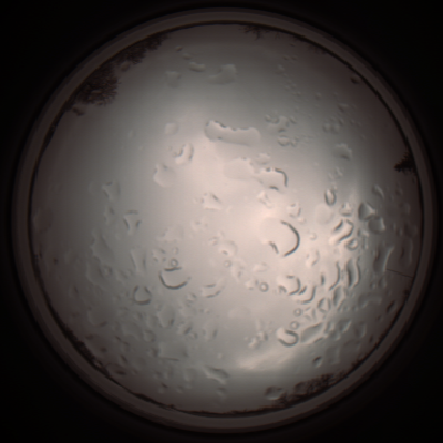 capture_202112061226_1709.Png