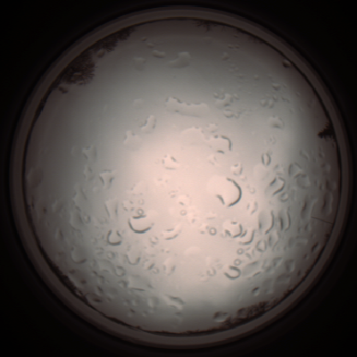 capture_202112061203_1686.Png