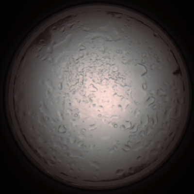 capture_202112060950_1553.Png