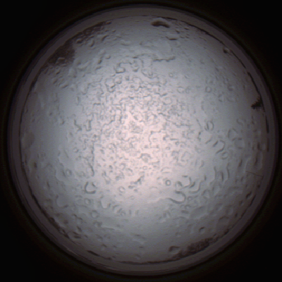 capture_202112060834_1477.Png