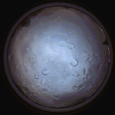 capture_202112061523_1886.Png