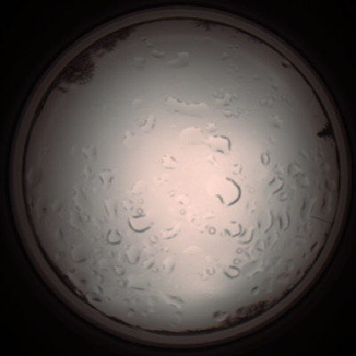capture_202112061212_1695.Png