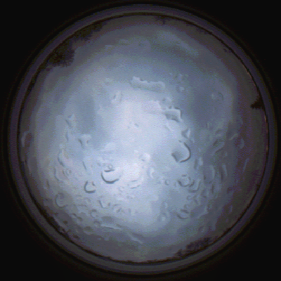capture_202112061514_1877.Png