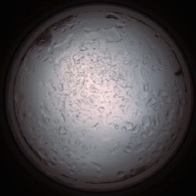 capture_202112060928_1531.Png