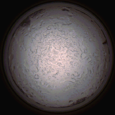capture_202112060800_1443.Png