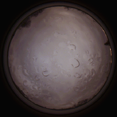 capture_202112061500_1863.Png