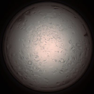 capture_202112061003_1566.Png