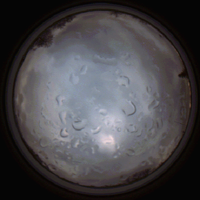 capture_202112061509_1872.Png