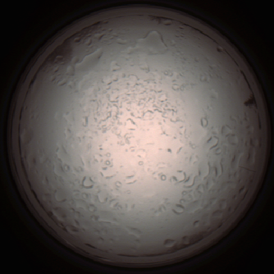capture_202112060958_1561.Png