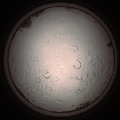 capture_202112061234_1717.Png
