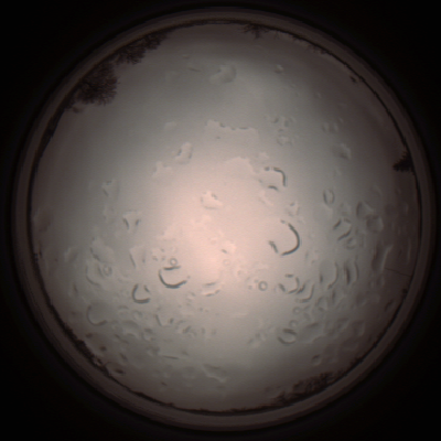 capture_202112061418_1821.Png
