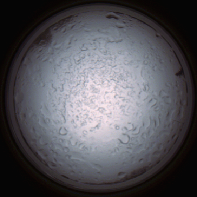 capture_202112060856_1499.Png