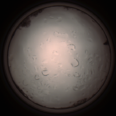 capture_202112061413_1816.Png