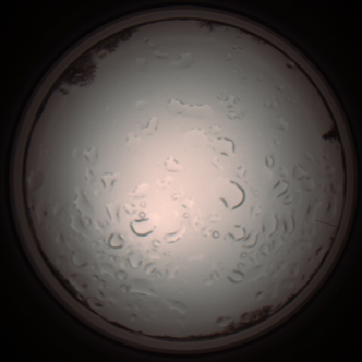 capture_202112061210_1693.Png