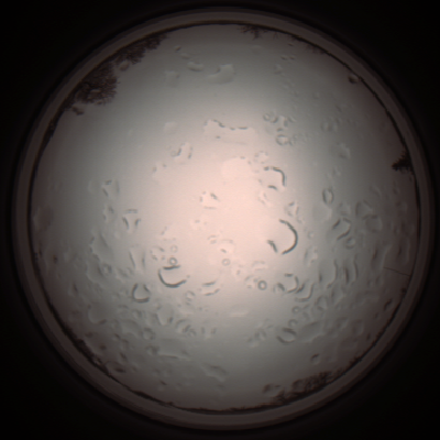 capture_202112061213_1696.Png